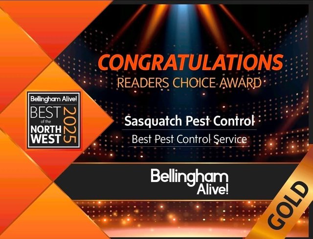 Bellingham Alive Best of the Northwest 2025 Gold readers choice award badge