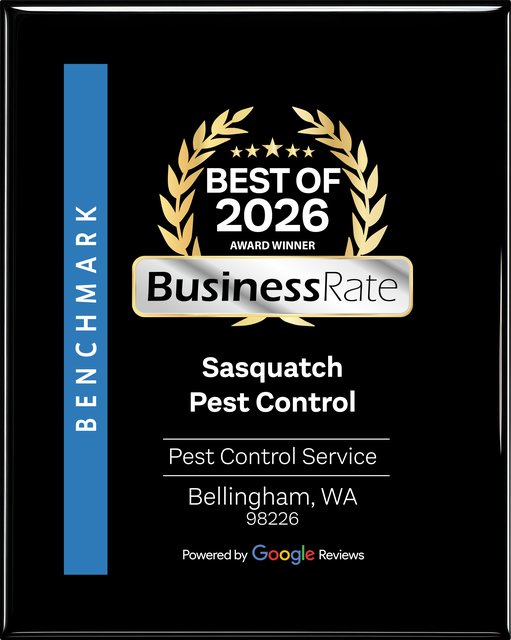 BusinessRate Best of 2026 award winner plaque for pest control service in Bellingham