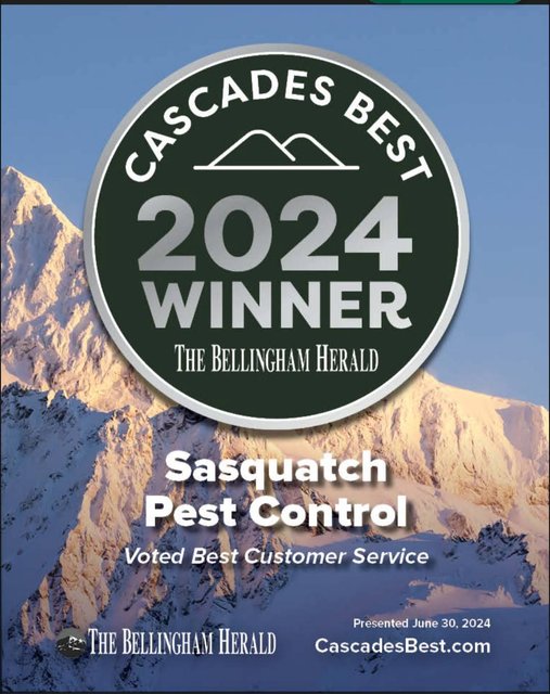 Cascades Best 2024 badge from The Bellingham Herald, customer service category