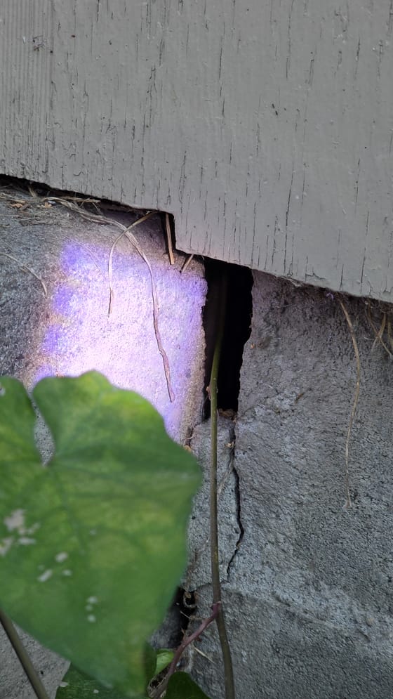 A flashlight on a cracked foundation where a chunk has broken away under the siding, leaving an open gap into the crawlspace