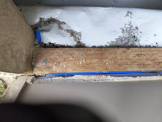 White-faced rigid foam gnawed ragged by rodents, chewed crumbs scattered over it and a screwed board edged with blue tape
