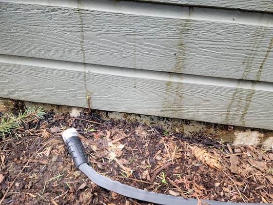 A gray flexible hose with a black end fitting lying in bark mulch against a home's siding, drip stains above