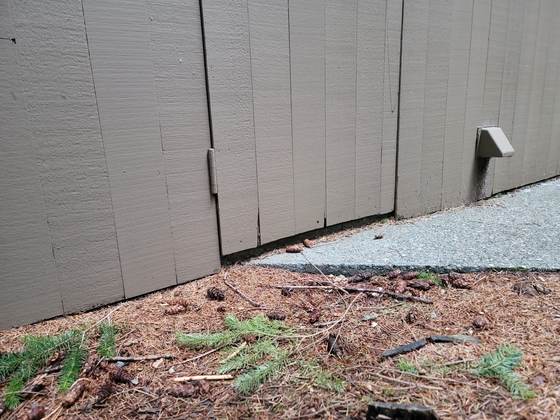 The gap under the door of a shed, where the board siding stops short of the slab edge, bark mulch and fir needles pushed up against it