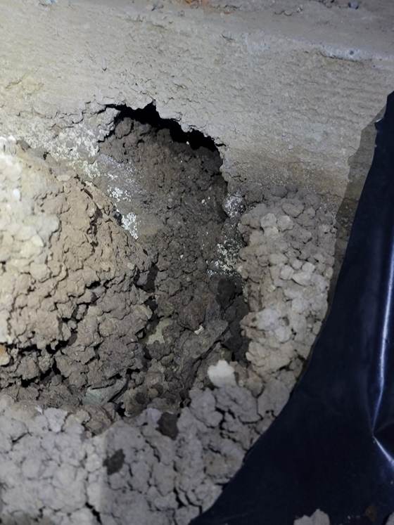 Loose rubble and a gap at a home's foundation, a potential rodent entry point found