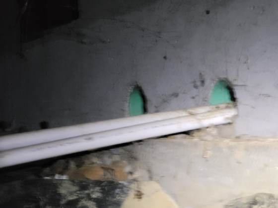 Vent openings and a gap in a crawlspace foundation providing rodent access