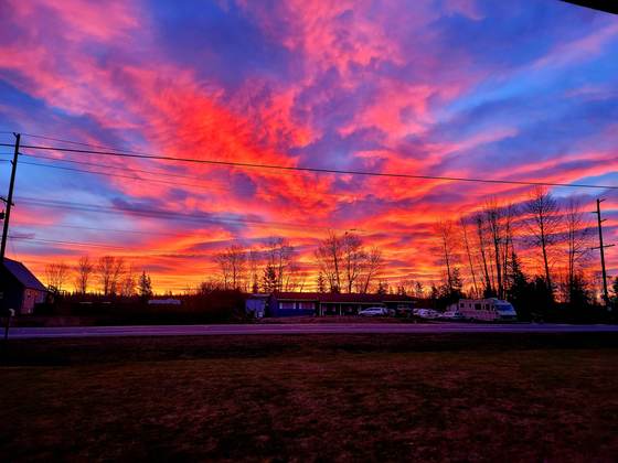 A vivid red-and-orange sunrise over silhouetted trees, photographed by a technician in the field