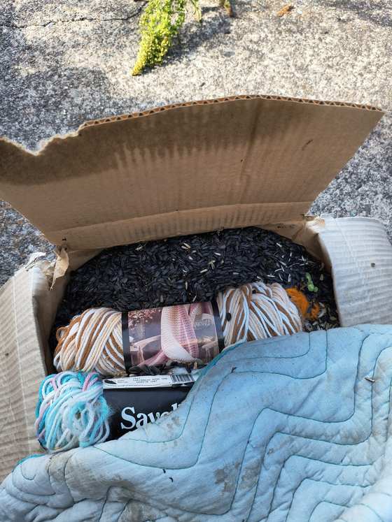 A cardboard box in a garage filled with a rodent stash of seeds and nesting debris