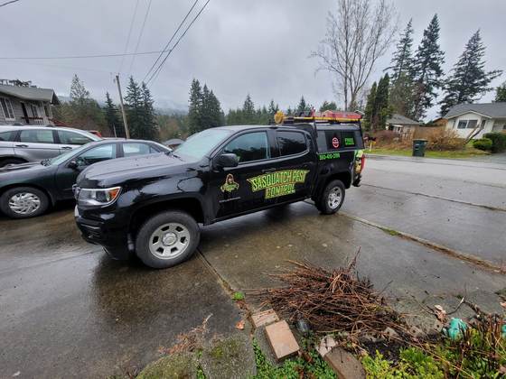 A wrapped pickup with a canopy parked at the curb of a residential street on an overcast day, other cars behind it