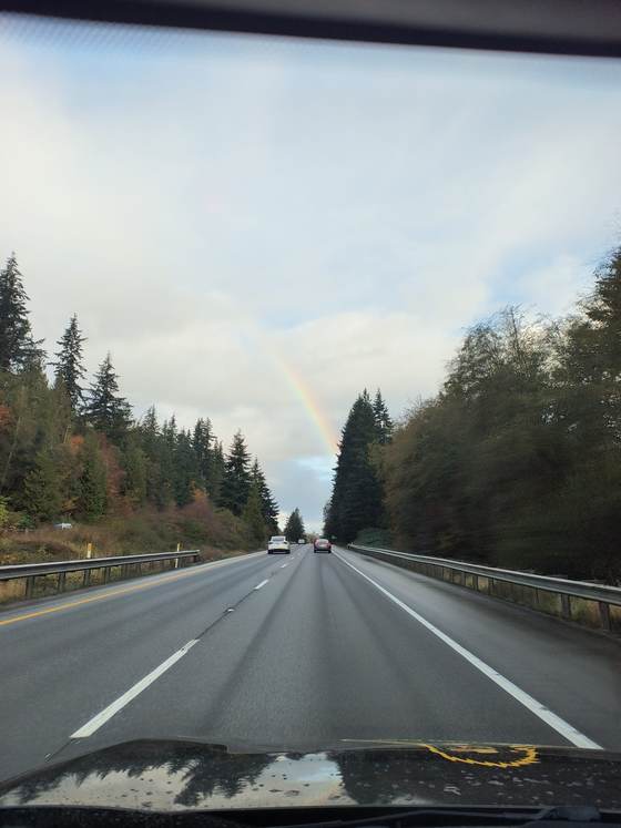 A rainbow over evergreen trees, photographed by a technician while on the job