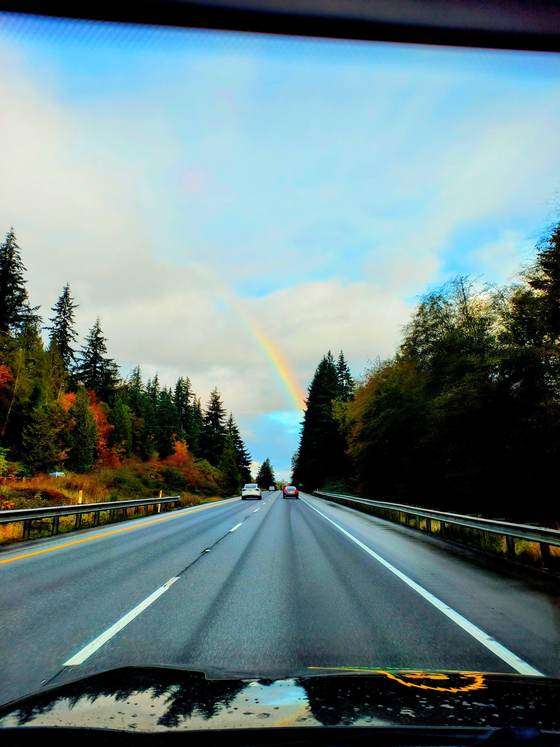 A rainbow arching over an autumn forest, photographed by a technician in the field