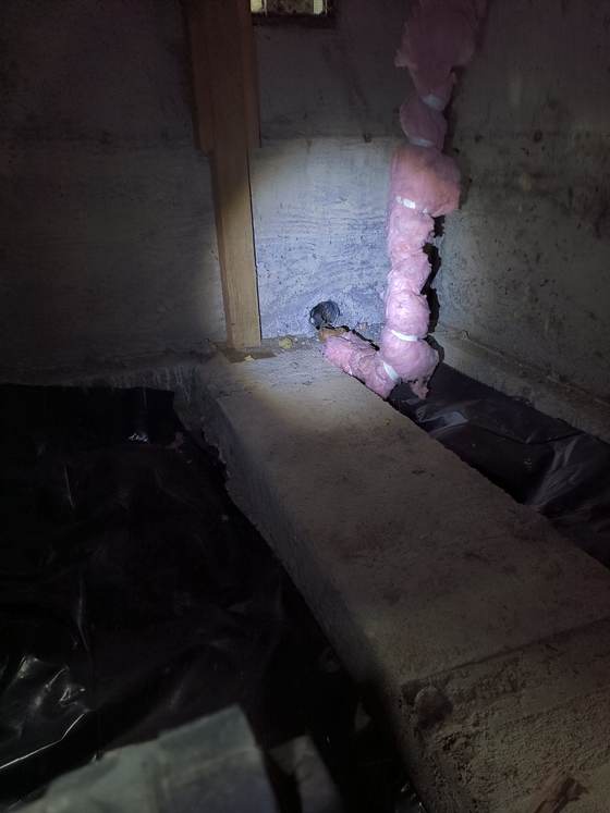 A gap in a crawlspace foundation near insulation and a vapor barrier, a potential pest entry point found