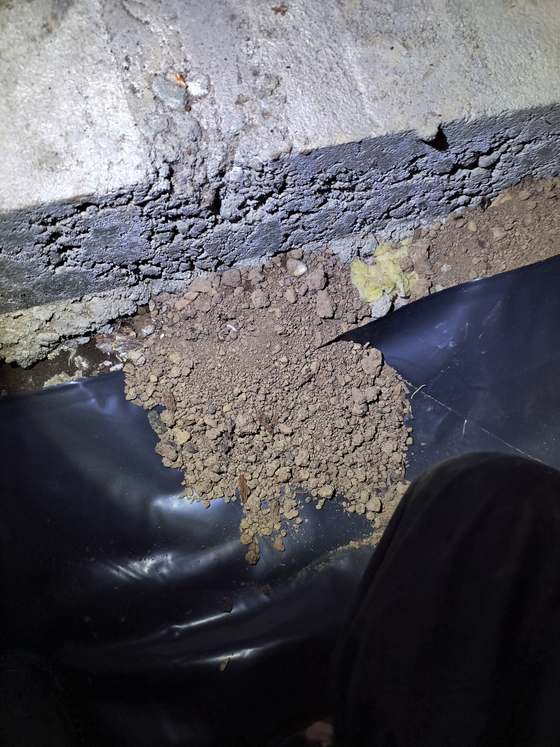 Disturbed soil and a torn vapor barrier showing rodent tunneling in a crawlspace