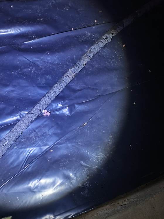 A pipe crossing a crawlspace with its gray insulation sleeve chewed ragged along the top, shredded pieces of it scattered on the black vapor barrier below