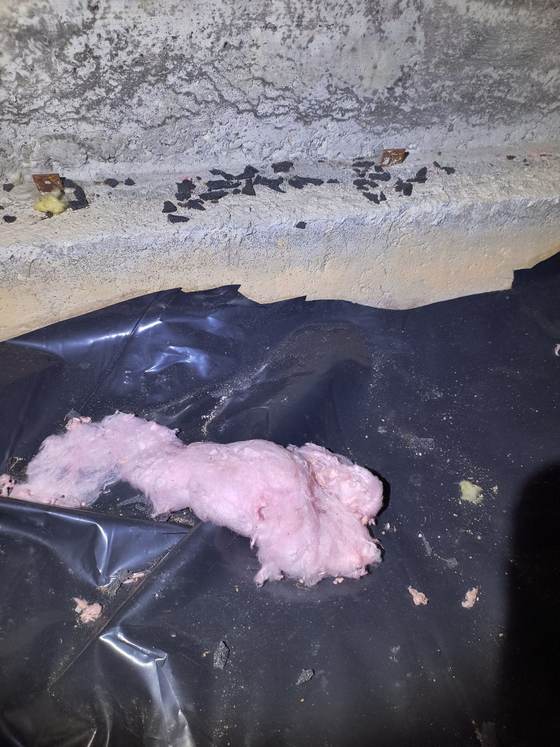 A piece of pink insulation on a dark vapor barrier in a crawlspace