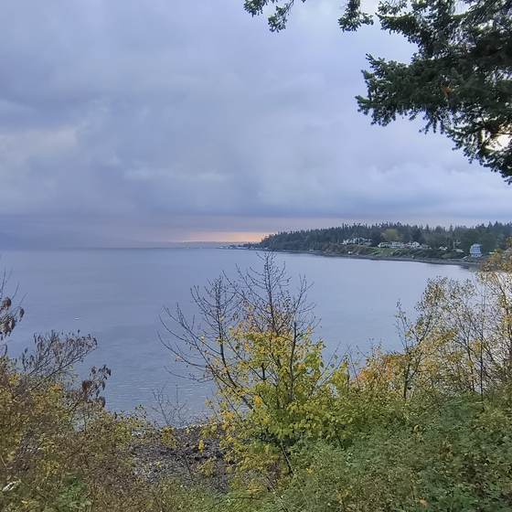A cloudy view over a calm bay from a shoreline in the Pacific Northwest