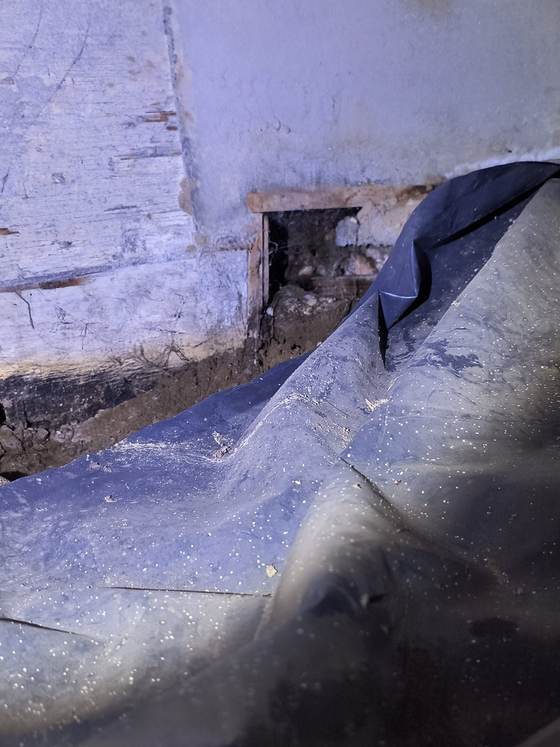 A rotten form board in a crawlspace with a blue vapor barrier, allowing rodent access