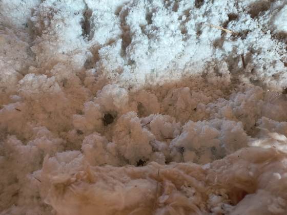 A close-up of rodent tunneling through insulation, a sign of rodent activity documented