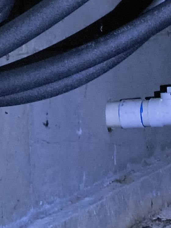 An open gap around a white PVC plumbing line where it passes through a wall, a common rodent entry point found