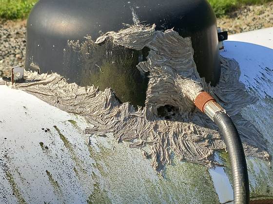 Gray wasp nest paper plastered over the dome lid and top of a propane tank, beside the tank's black flexible gas line