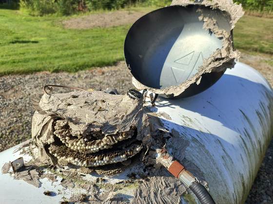 A large hornet nest attached to a tank on a gravel pad at a property, found on a call
