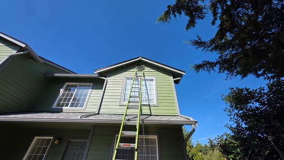 A green extension ladder reaching to a screened gable vent at the peak of a second-story dormer