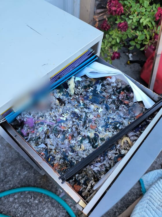 A filing-cabinet drawer in a Bow garage packed with a mouse nest of shredded fabric and paper and sunflower seed husks