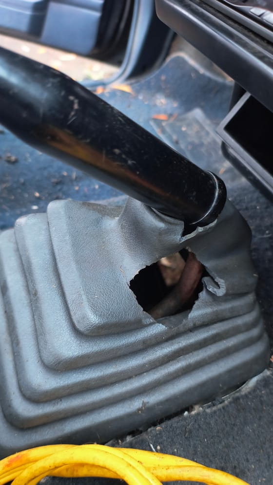 The rubber shifter boot in a truck with a ragged hole chewed through it by a rodent, the shift linkage visible inside