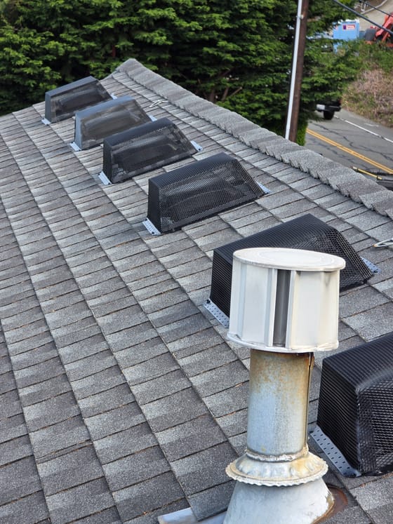 A row of roof vents along a shingled roof, each covered with a black heavy-mesh guard fastened to the shingles