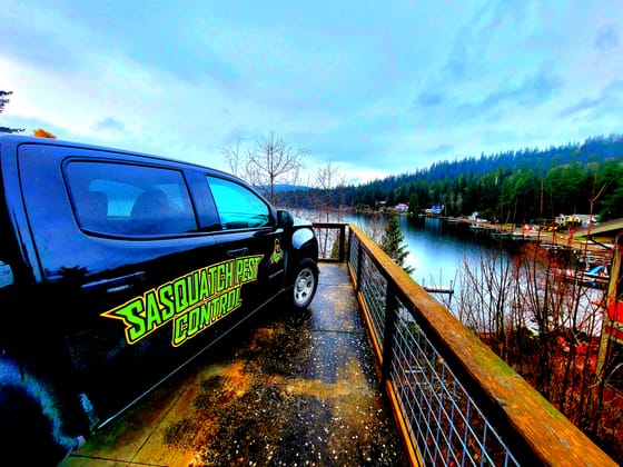 The wrapped Chevrolet Colorado on a wet driveway above Lake Whatcom, docks and lakeside houses along the shore below