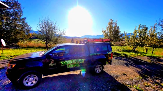 The wrapped service truck on a gravel farm drive near Bow, open fields and mountains behind under a low bright sun