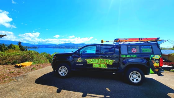The wrapped service truck parked on a hilltop overlooking Lake Whatcom, forested hills and distant snowy peaks under a clear blue sky