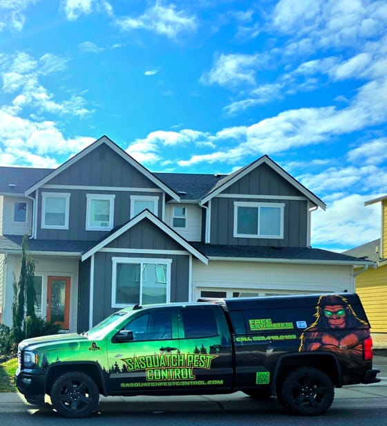The green-and-black wrapped pickup parked in front of a new two-story gray house in Ferndale under a bright cloudy sky