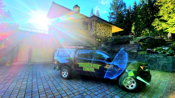 The wrapped service truck on a paver driveway below a stone-clad house in Sudden Valley, low sun flaring across the frame