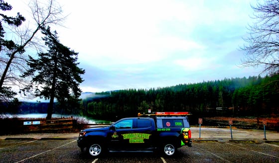 The wrapped Chevrolet Colorado in the Lake Padden parking lot, mist lifting off the lake and the forest behind