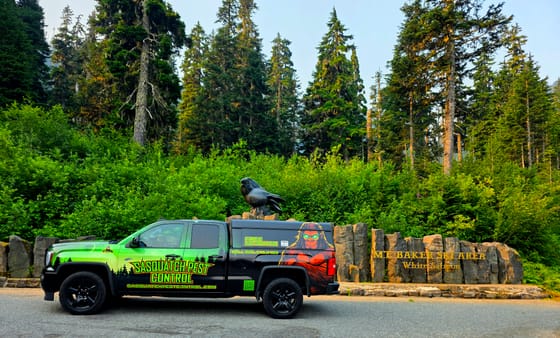 The wrapped pickup parked in front of the Mt. Baker Ski Area stone sign and raven sculpture, tall firs behind