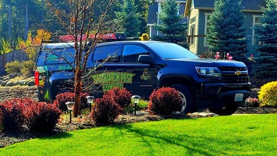 The wrapped service truck parked beside a landscaped front yard with red shrubs and blue spruce in Bellingham