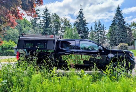 The wrapped service truck parked behind tall summer grass under evergreens and a red maple in Bellingham