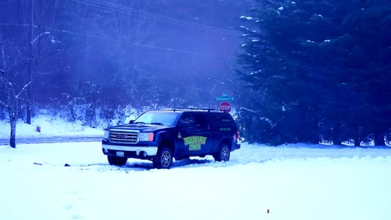 A wrapped pickup parked in deep snow at a road corner under tall evergreens on a blue winter morning