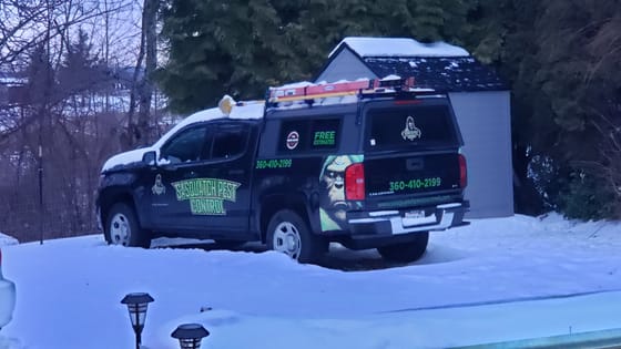 A wrapped Sasquatch Pest Control pickup with a ladder rack, snow on the roof and ladders, parked beside a gray shed