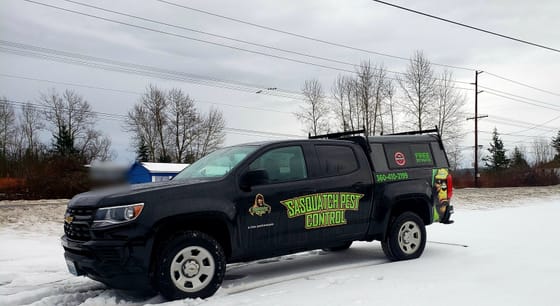 A black wrapped Chevrolet Colorado on a snowy roadside under gray winter sky and bare trees