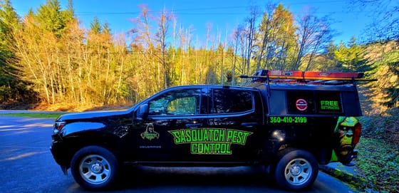 The wrapped Chevrolet Colorado with its ladder rack on a road near Alger, sunlit alders and firs behind
