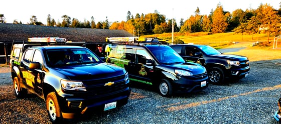 Two wrapped pickups and a wrapped van lined up on gravel on Lummi Shore Road in golden evening light