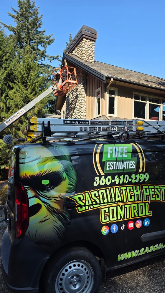 The wrapped service van parked below a boom lift raised to the top of a river-rock chimney, where a technician is sealing around it, near Lake Whatcom
