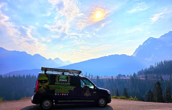 The wrapped van at a high pullout on the Mount Baker Highway, a glaciered peak and forested ridges behind in summer haze