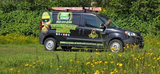 The wrapped service van parked in a summer field of yellow buttercups and tall grass, a green hedge behind