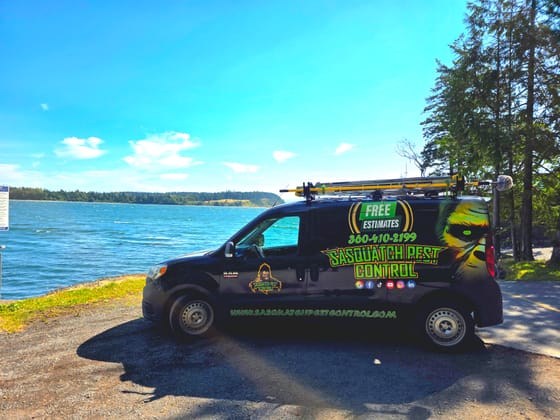 The wrapped van parked at the water on Lummi Island, a forested shoreline across the channel under a bright sky