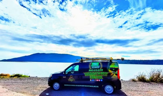 The wrapped service van parked on a gravel shoulder beside the water on Lummi Shore Road, a forested island across the bay under a bright broken sky