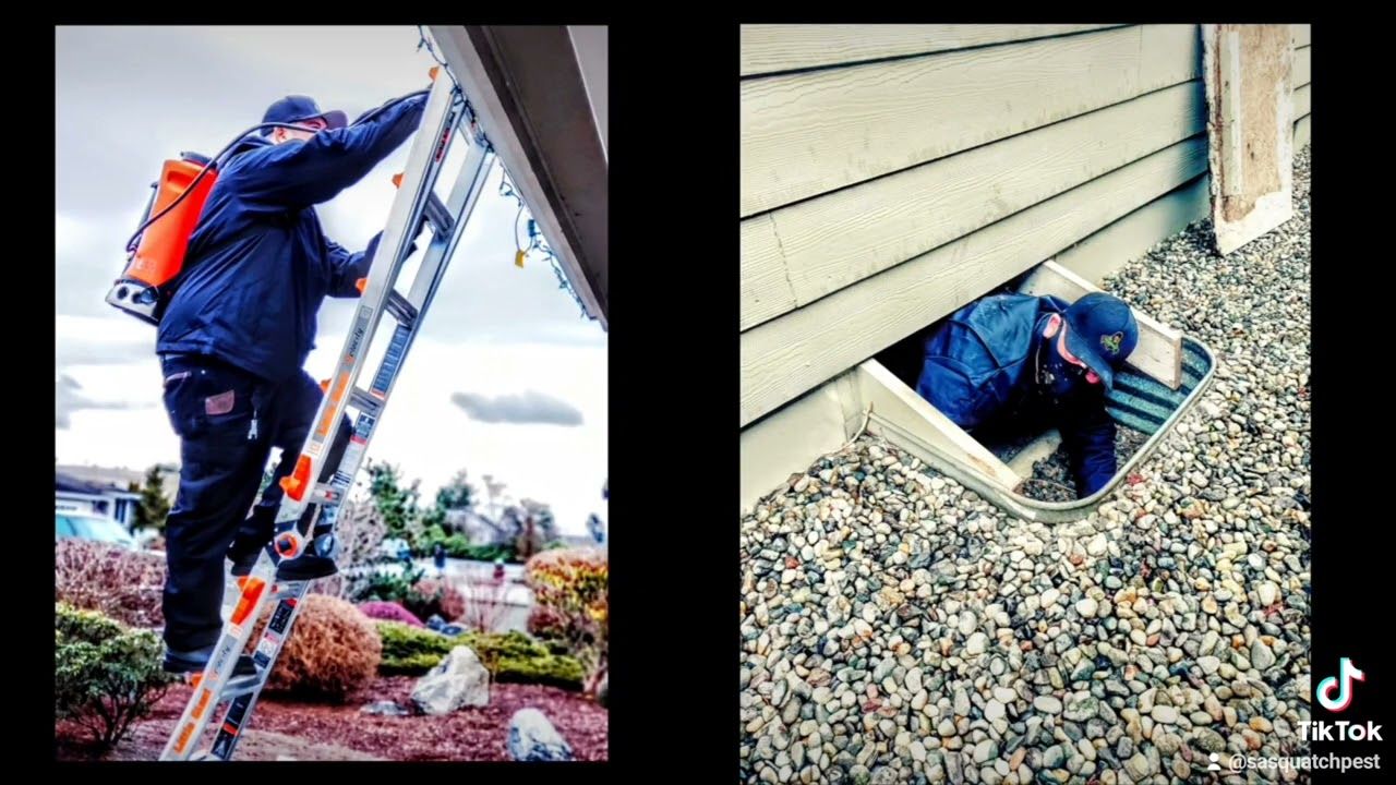 Opening frame of a Sasquatch Pest Control film, a family silhouetted against a sunset