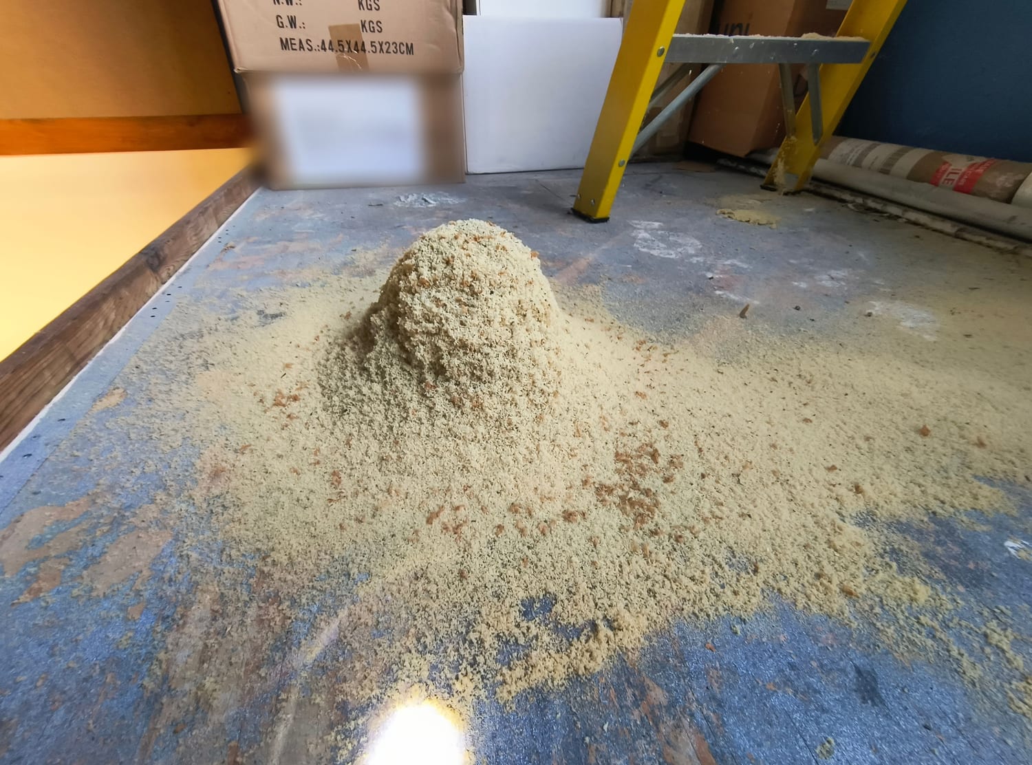 A heap of pale sawdust-like carpenter ant frass on the painted floor of a commercial storage room, with stacked cartons, a stepladder and more debris along the wall behind it