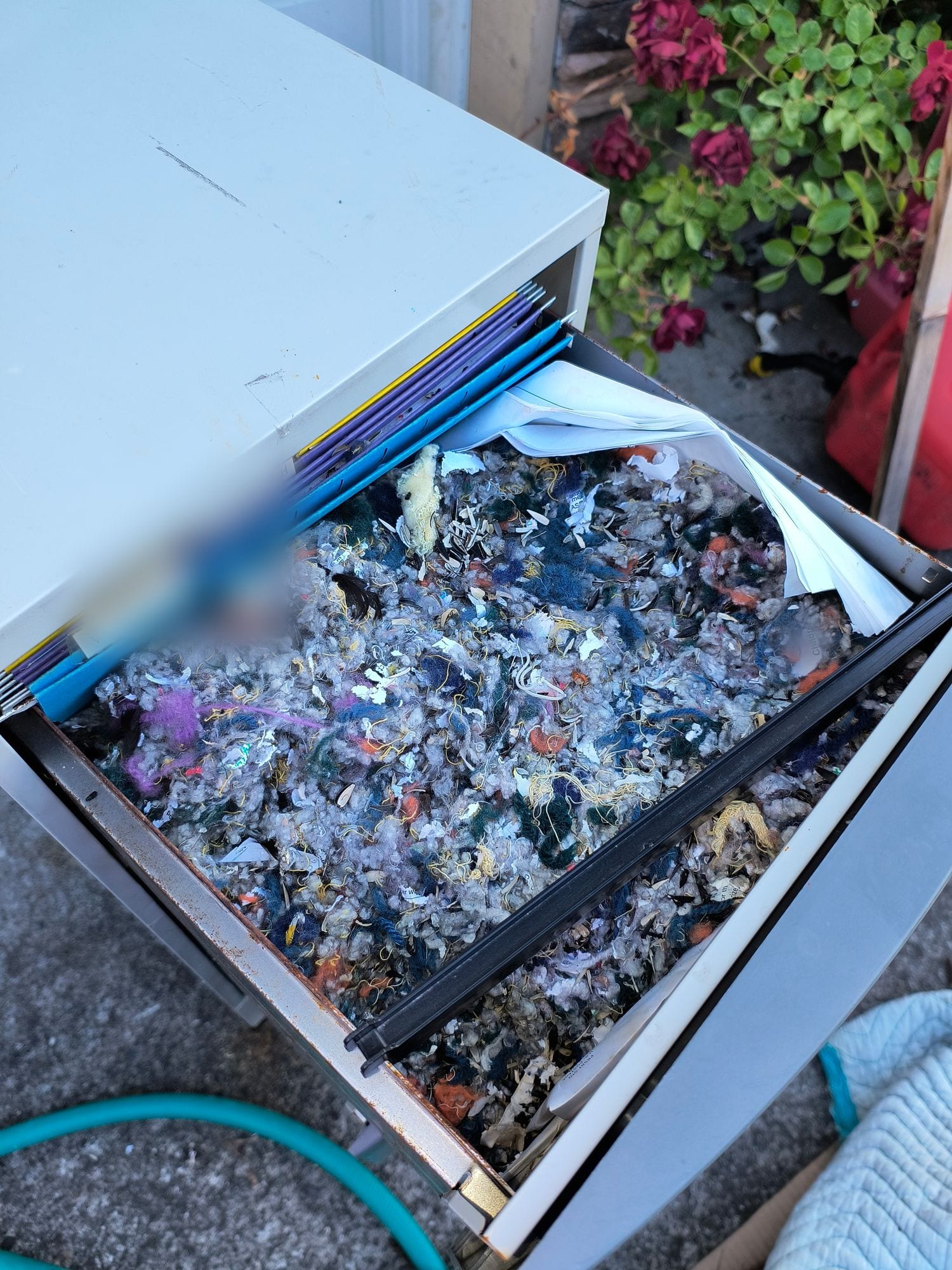 An open metal filing-cabinet drawer packed with a mouse nest of shredded fabric, fiber and paper mixed with sunflower seed shells, the hanging folders pushed to one side